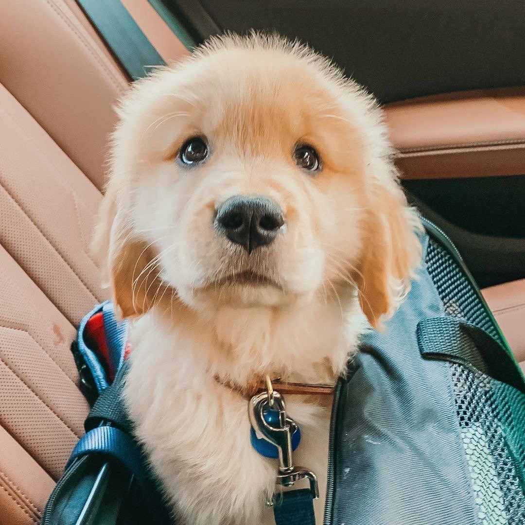 Dug