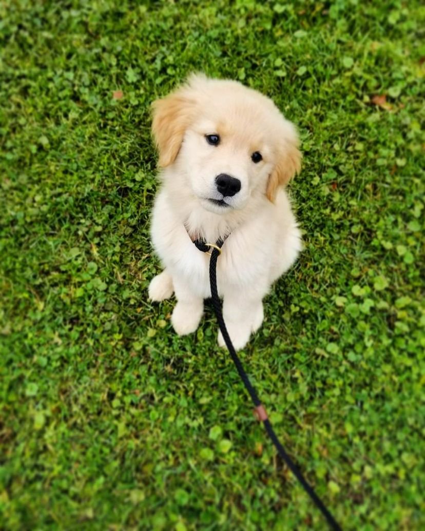Ted6